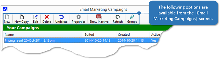 Email Marketing Campaign Options